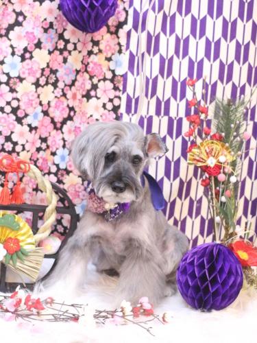 20250128ティノくん